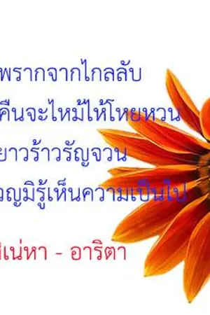 ปกนิยาย ซ้อนสิเน่หา   ไออิ  เซนได