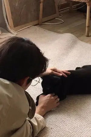 ปกนิยาย cat on the moon #โคยังงีฮยบ [บินกุก]