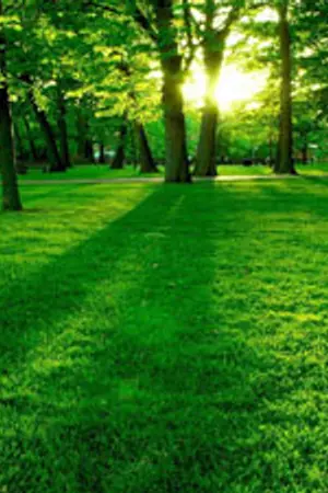 ปกนิยาย The puzzle ไขปริศนา ฉบับนักธนู!