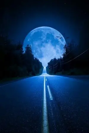 ปกนิยาย ศิษย์เทพเซียน อันดับหนึ่งทำให้ข้า รักหลง (MARKBAM)