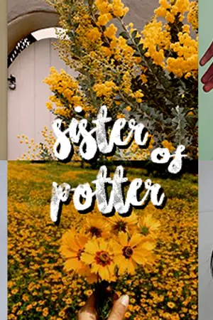 ปกนิยาย [ Au fanfic Harry Potter ] Sister of Potter [Cedric,CD/OC] #END
