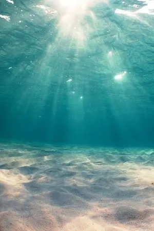 ปกนิยาย [one piece OCs] ก๊วนโจร(ผัก)สลัดป่วนโลกวันพีช