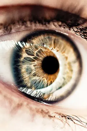 ปกนิยาย จะเกิดอะไร? เมื่อฉันย้อนวัยในต่างโลก