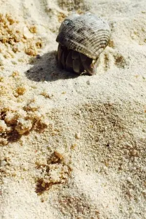 ปกนิยาย ย้อนกลับมาอีกครั้งก่อนวันสิ้นโลก