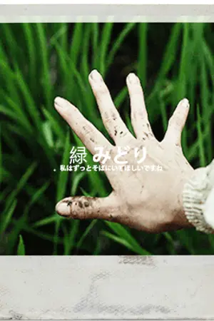 ปกนิยาย 緑 みどり 〈doubleb〉