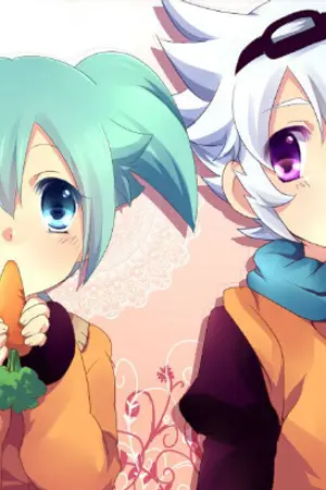 ปกนิยาย เฟย์กับซารุfic the inazuma eleven go