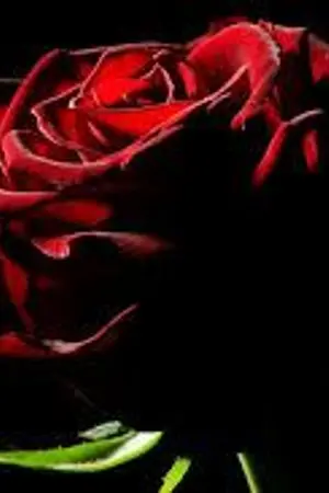 ปกนิยาย [ BTS ] - โซ่แค้นล่ามใจนายตัวร้าย |  KOOKV