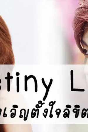 ปกนิยาย Destiny Love บังเอิญตั้งใจลิขิต‘รัก’