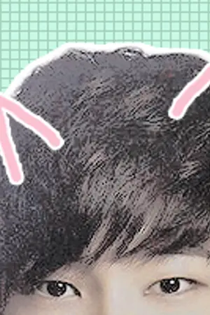 ปกนิยาย 〖 MINWON9794 〗 -  2016