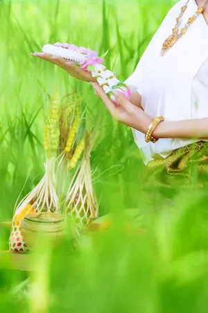 ปกนิยาย เล่ห์รักชวนชม