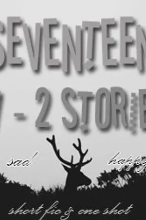 ปกนิยาย { o s / s f } seventeen ⑰ t w o  s t o r i e s.