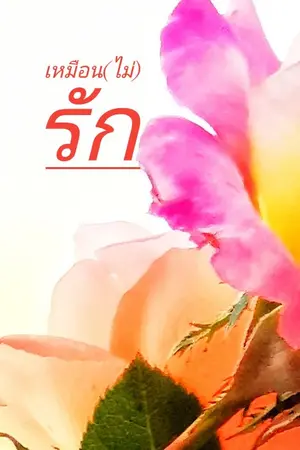 ปกนิยาย เหมือน(ไม่)​รัก