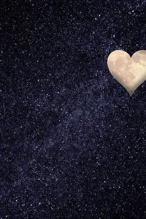 ปกนิยาย แสงดาวเหนือ (เหนือ)