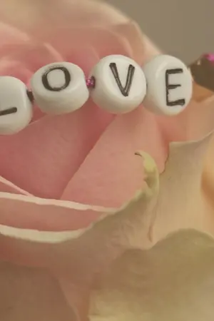 ปกนิยาย พันคำรัก