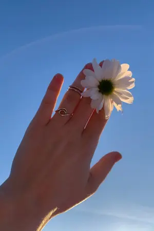 ปกนิยาย เพลินฤดี