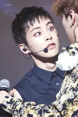 ปกนิยาย [LUMIN] รักนะ!นายขายซาลาเปา