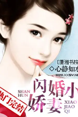 ปกนิยาย ภรรยาสายฟ้าแลบ《闪婚少娇妻》นิยายแปล