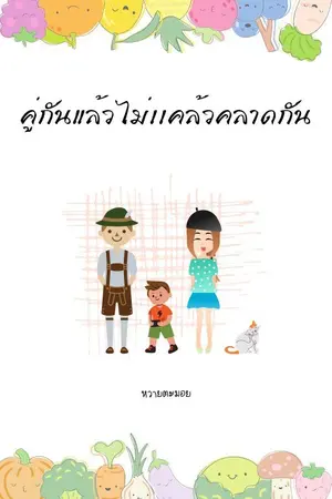 ปกนิยาย