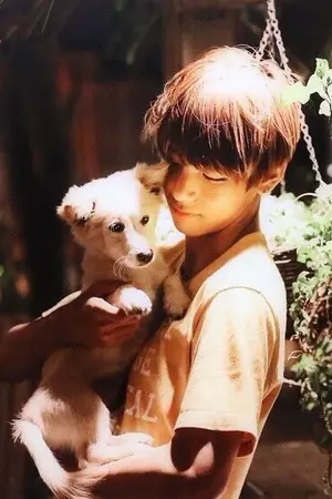 ปกนิยาย SF/OS เรื่องนี้ของแทแท ALLV KOOKV MINV GAV JINV MONV HOPEV