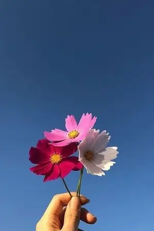 ปกนิยาย Short fic {ALL NCT x YOU} #รักต่างสไตล์