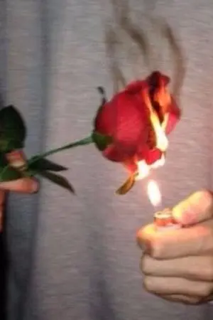 ปกนิยาย KOOKV | Lie to me รักร้ายลวงใจ