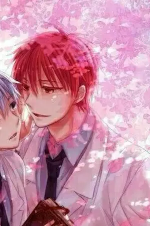ปกนิยาย [Fic KNB] will you marry me? (akakuro)