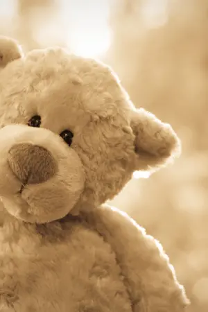 ปกนิยาย ♡ Teddy Bnior ♡