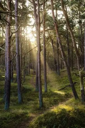 ปกนิยาย วุ้นๆรัก ของยัยโมบายกับนายน่าเลิฟ lovelike we smile