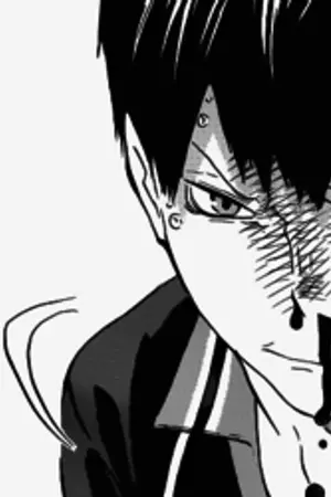 ปกนิยาย ♕ HAIKYUU!!—THE KING OF THE COURT