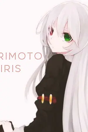 ปกนิยาย Reborn | ตุ๊กตามารทะลุมิติ | Harem [RW]