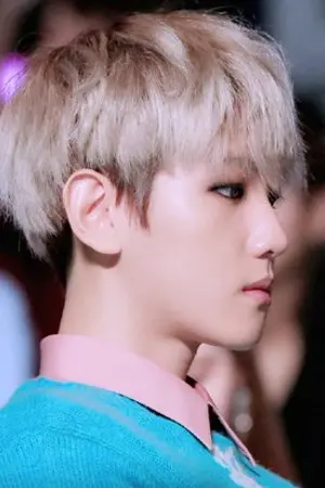 ปกนิยาย Deep Dreams... #ฟิคห้วงฝัน  : Chanbaek Hunbaek