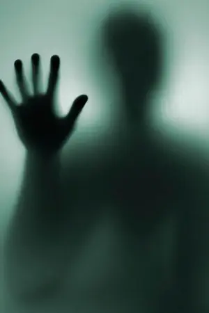 ปกนิยาย G O R