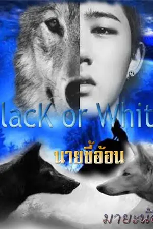 ปกนิยาย Black or white นายขี้อ้อน