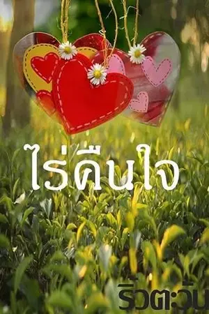 ปกนิยาย