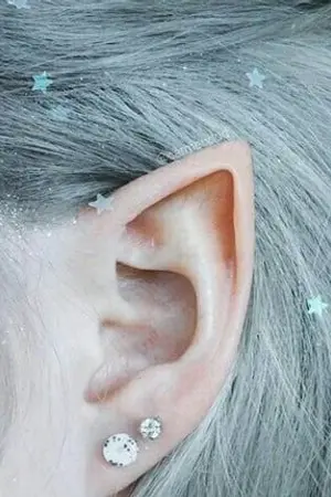 ปกนิยาย the fairy | noren