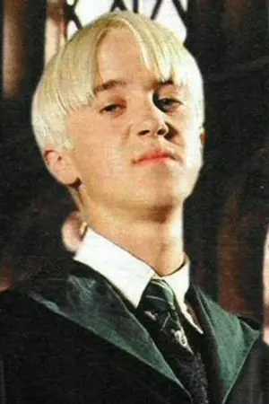 ปกนิยาย (Draco Malfoy x you) Adore you