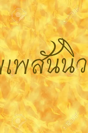 ปกนิยาย