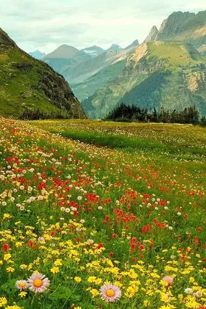 ปกนิยาย ภูตตัวจิ๋ว ตอน ดินแดนแห่งดอกไม้