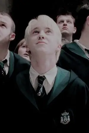 ปกนิยาย Harry Potter : The Diffy Girl [DM/OC]