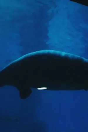 ปกนิยาย 04042018; test123