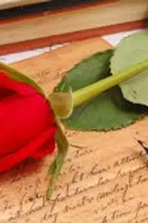 ปกนิยาย [TWICE] The diary - Minayeon