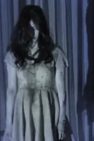 ปกนิยาย ดาวลดา