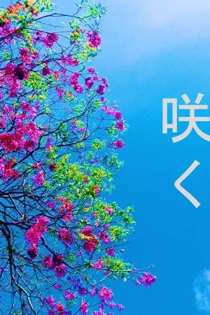 ปกนิยาย [MarkBam] 咲く B l o o m