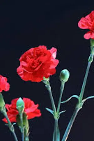 ปกนิยาย {SF MarkBam #SecretLoveMB} Secret Love ความรัก...ความลับ