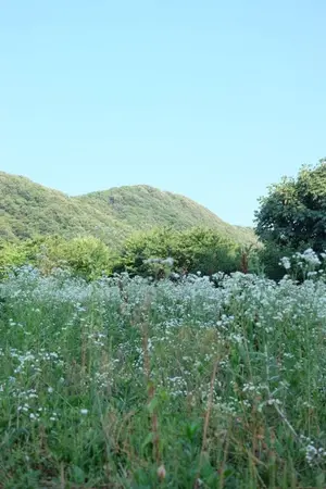 ปกนิยาย Not Just Friends : ไม่ใช่แค่เพื่อน