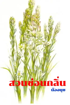 ปกนิยาย