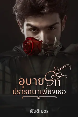 ปกนิยาย อุบายรักปรารถนาเพียงเธอ