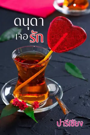 ปกนิยาย ดนุดาเจอรัก(ฉบับเต็ม)