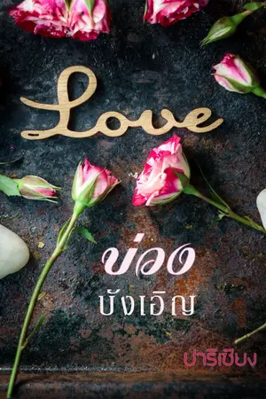ปกนิยาย บ่วงบังเอิญ