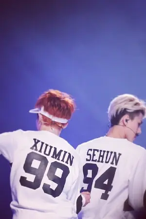 ปกนิยาย [Exo] Sehun x Minseok. {FakeLove.}